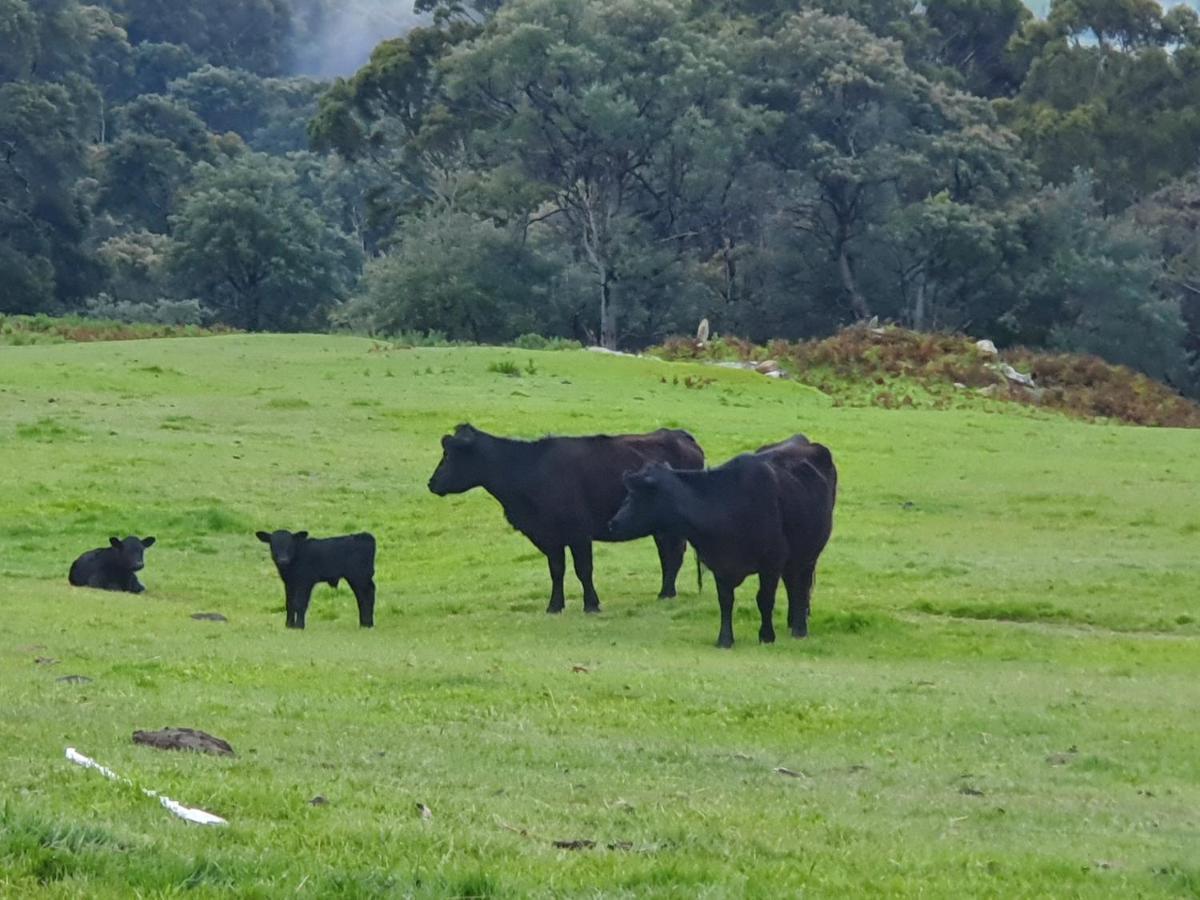 Ruby'S Cottage Farm Stay ポート・アーサー エクステリア 写真