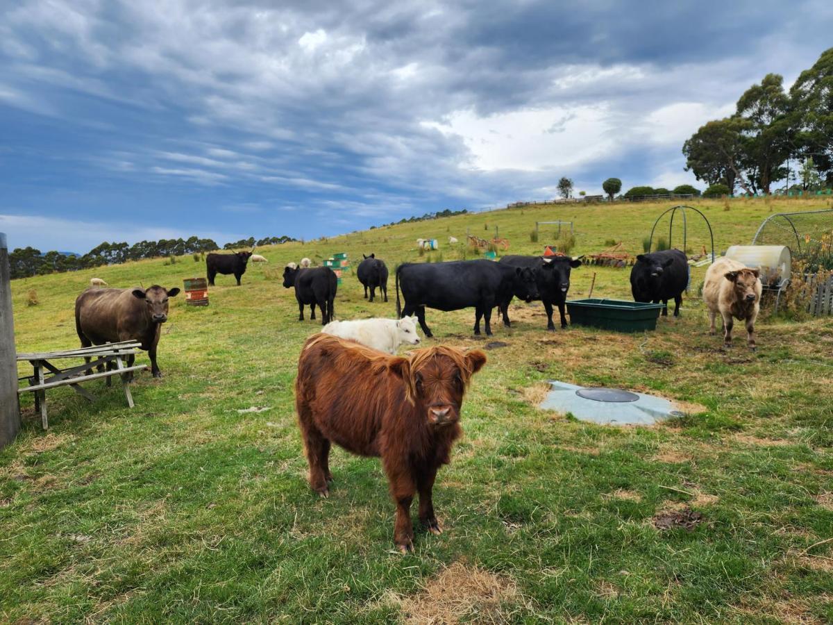 Ruby'S Cottage Farm Stay ポート・アーサー エクステリア 写真