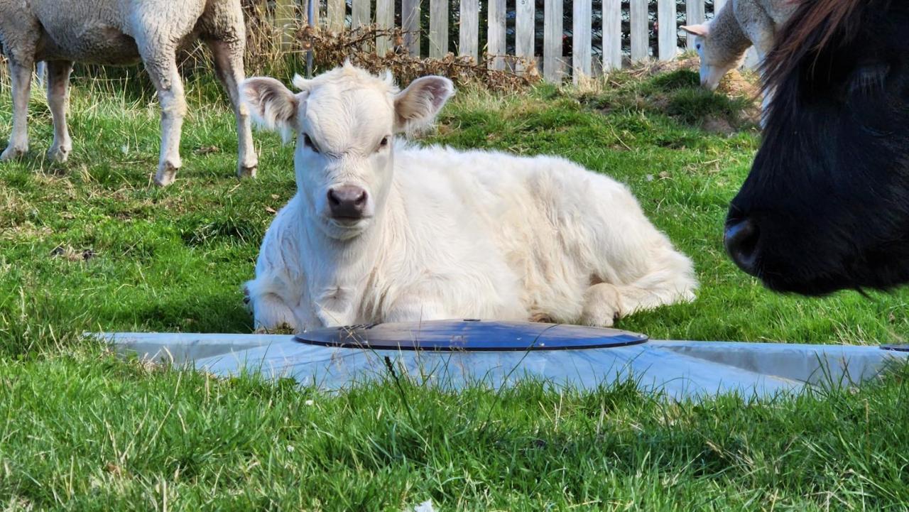 Ruby'S Cottage Farm Stay ポート・アーサー エクステリア 写真
