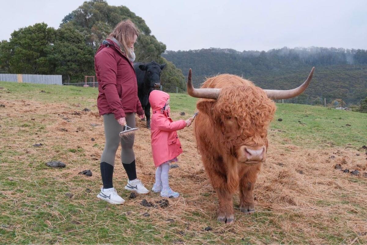 Ruby'S Cottage Farm Stay ポート・アーサー エクステリア 写真